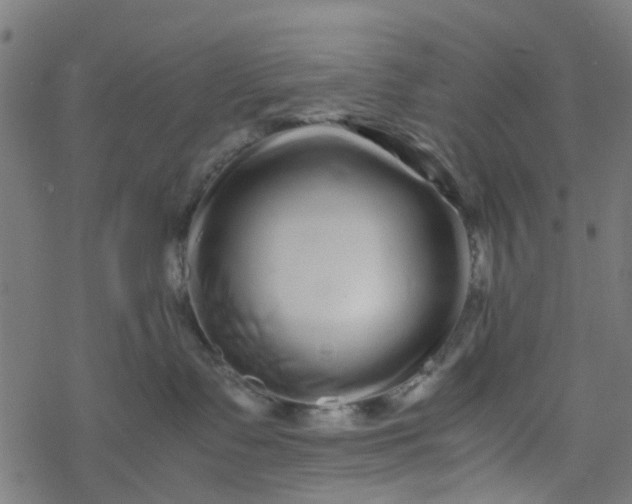 X0000077390335200611032008