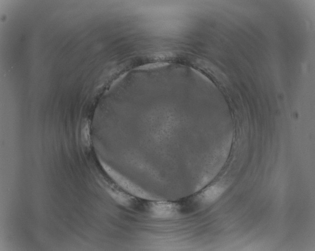 X0000077390336200611032008