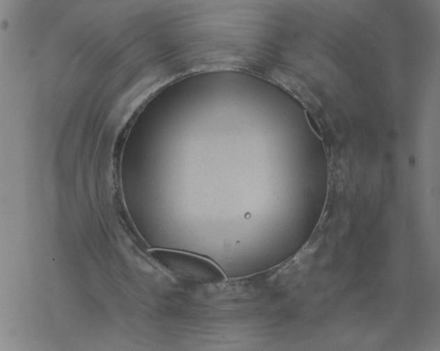 X0000077390338200611032007