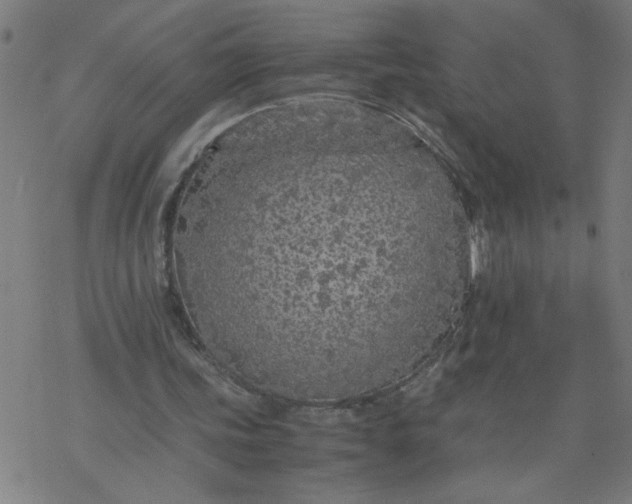 X0000077390339200611032007