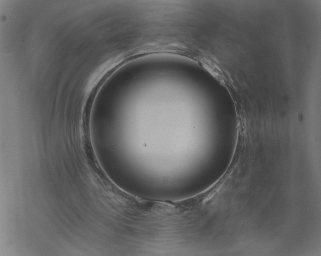 X0000077390340200611032007