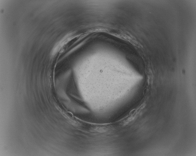 X0000077390341200611032007