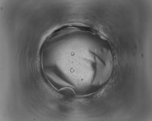 X0000077390342200611032007