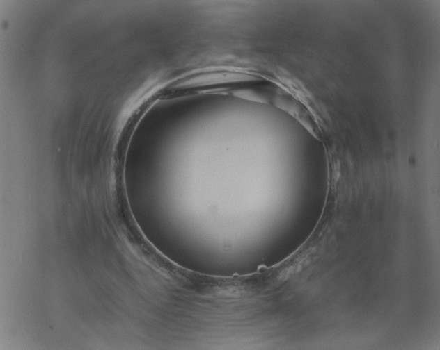 X0000077390344200611032007