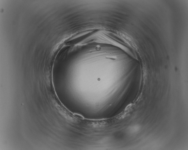 X0000077390345200611032007