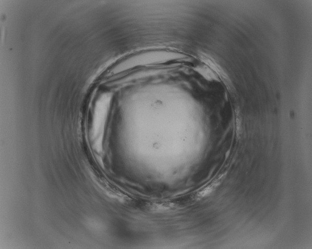 X0000077390346200611032007