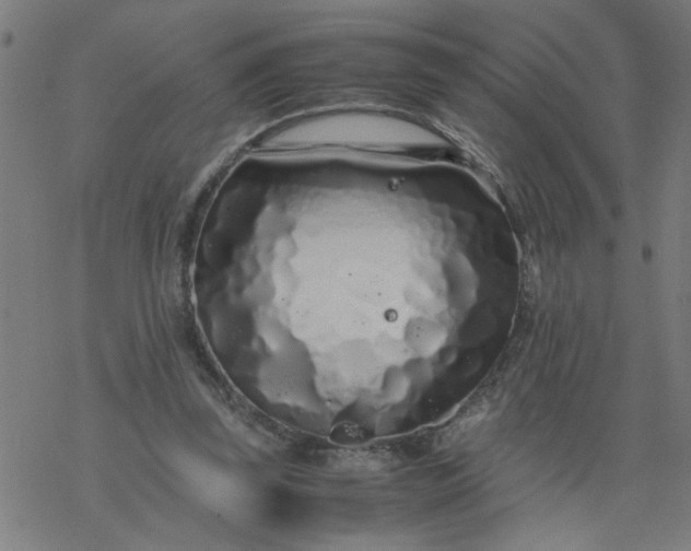 X0000077390347200611032007