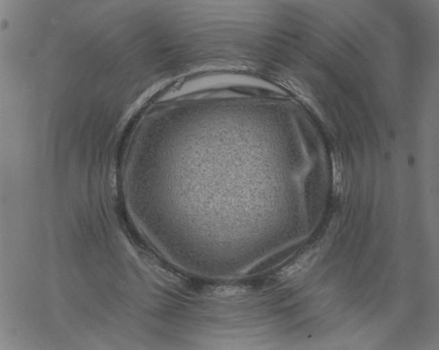 X0000077390348200611032007