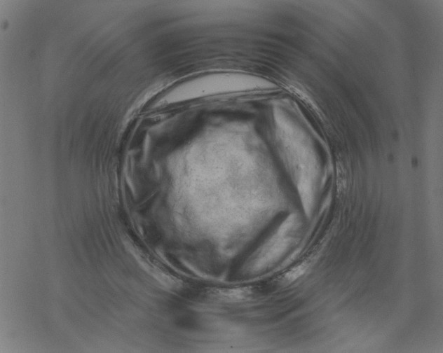 X0000077390349200611032007