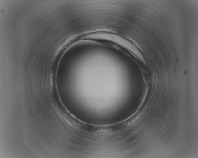 X0000077390350200611032007