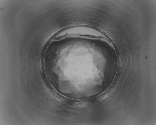 X0000077390351200611032007