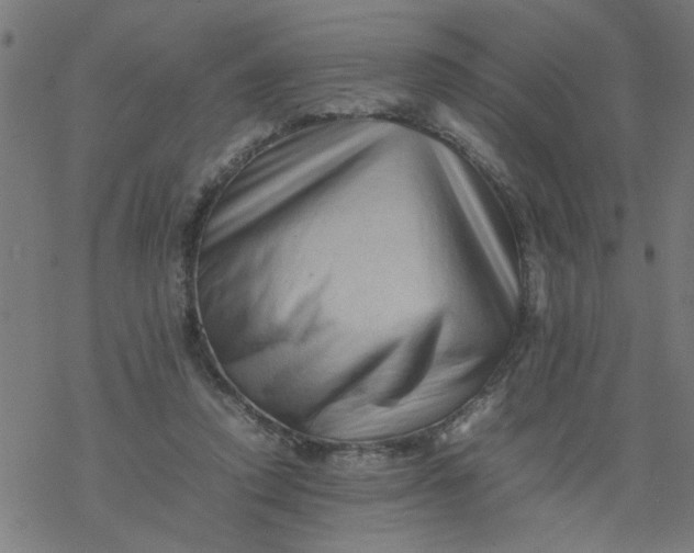 X0000077390354200611032007