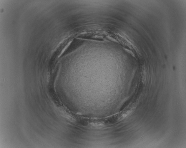 X0000077390355200611032007