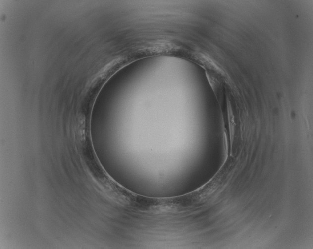 X0000077390356200611032007