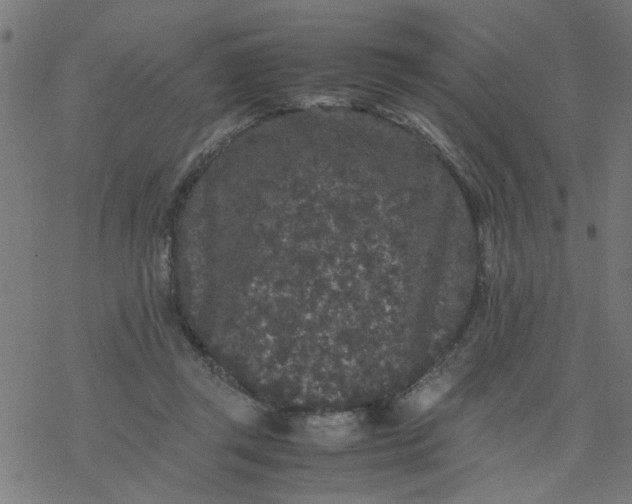 X0000077390357200611032007