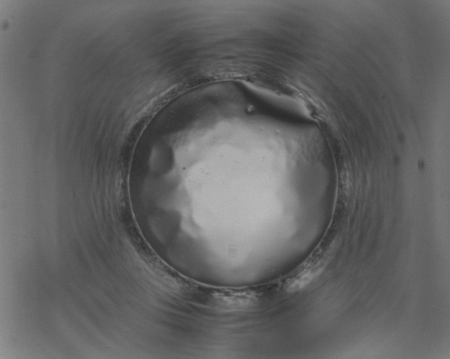 X0000077390359200611032007