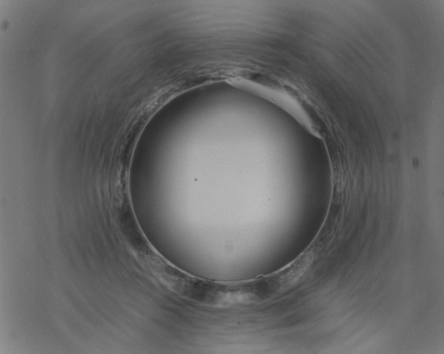 X0000077390360200611032007