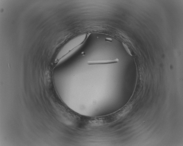 X0000077390362200611032007