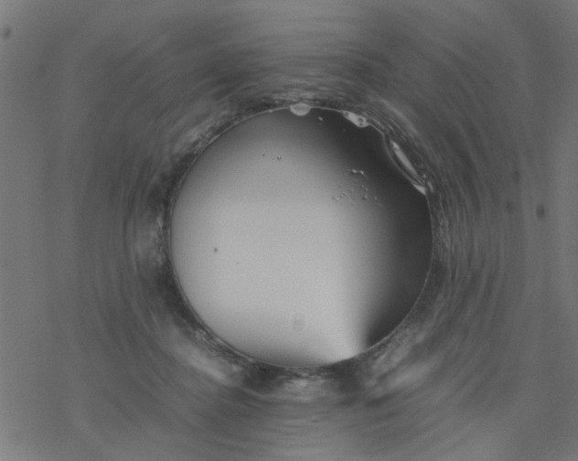 X0000077390364200611032007