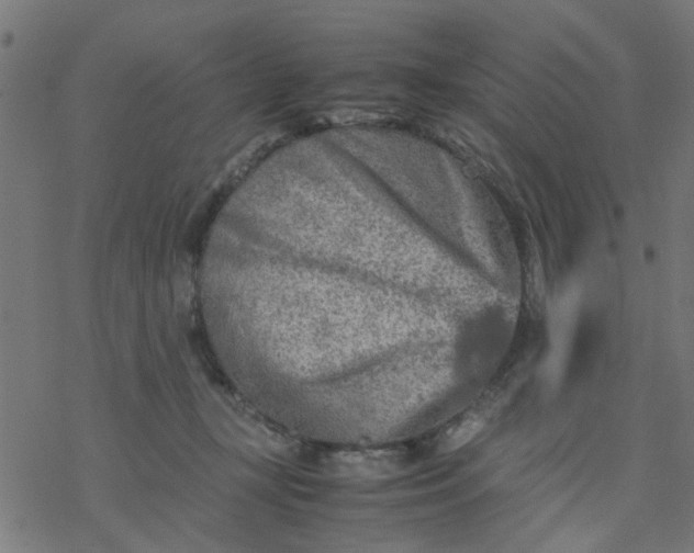 X0000077390367200611032007