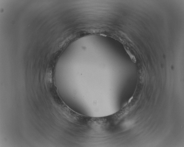 X0000077390368200611032007