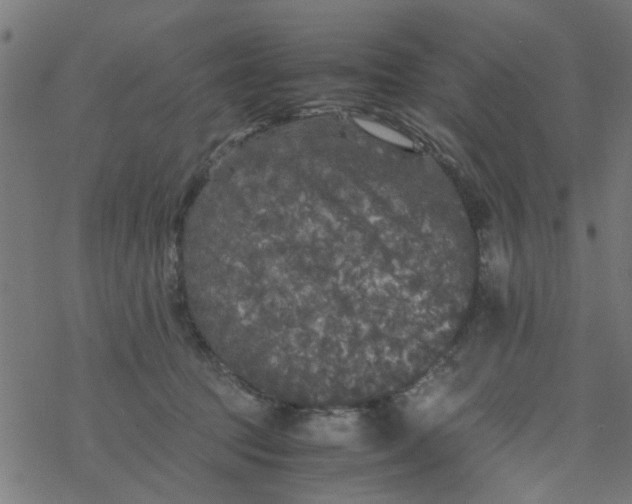 X0000077390369200611032007