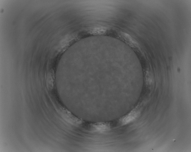 X0000077390370200611032007