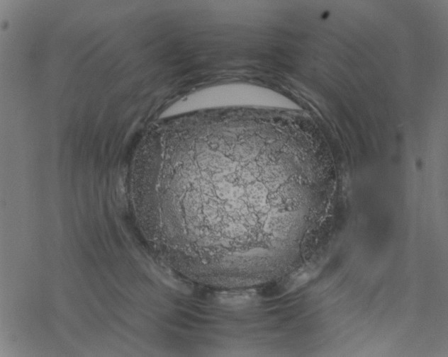 X0000077390373200611032007