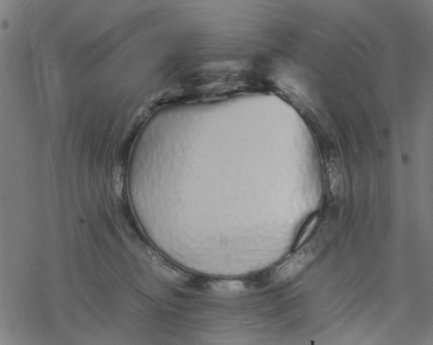 X0000077390374200611032007