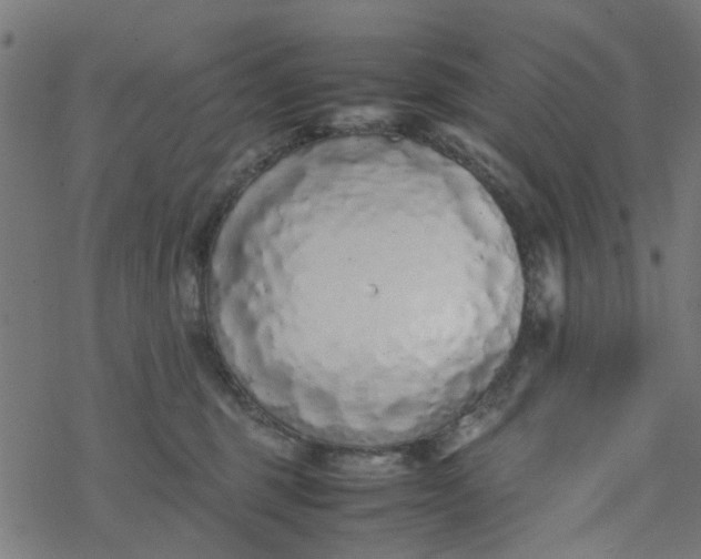 X0000077390375200611032007