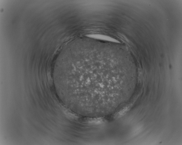 X0000077390377200611032007