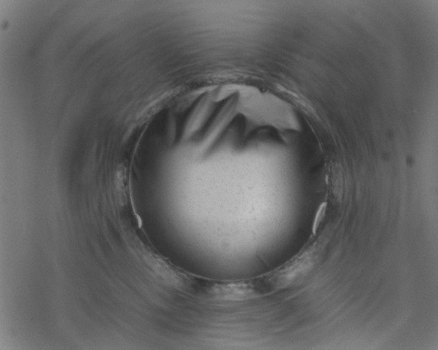 X0000077390378200611032007