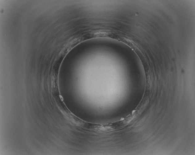 X0000077390379200611032007