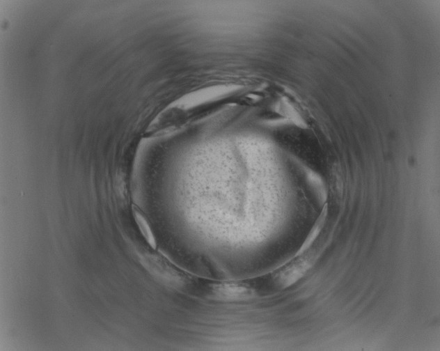 X0000077390380200611032007