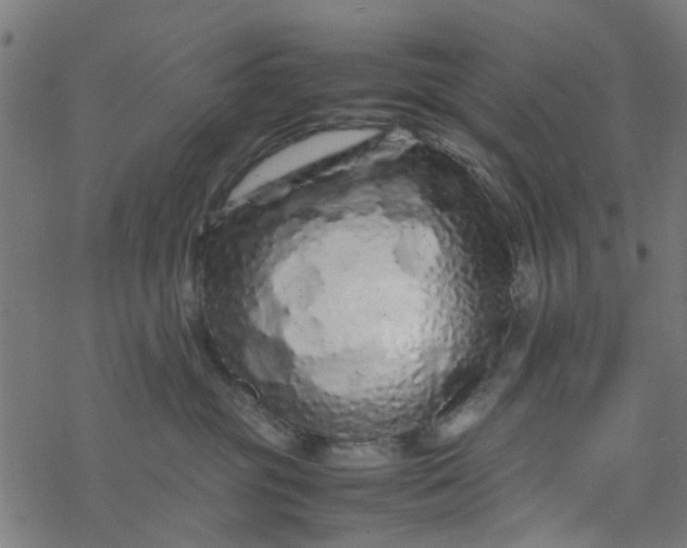 X0000077390381200611032007