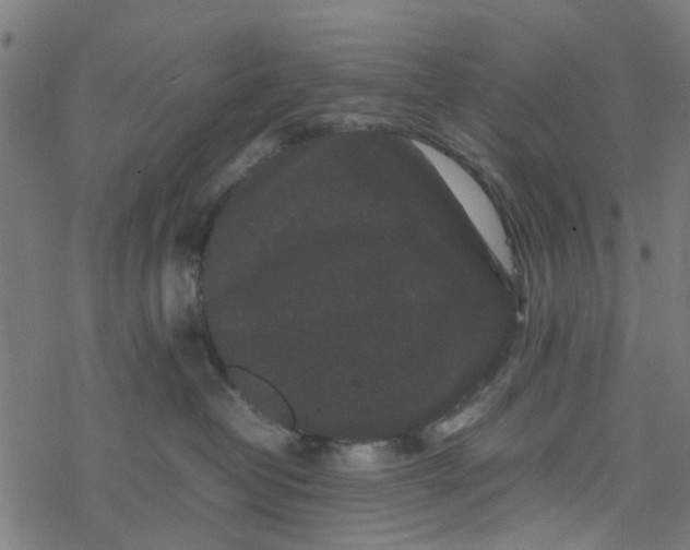 X0000077390382200611032008