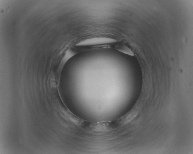 X0000077390384200611032008