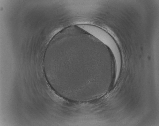 X0000077390385200611032007