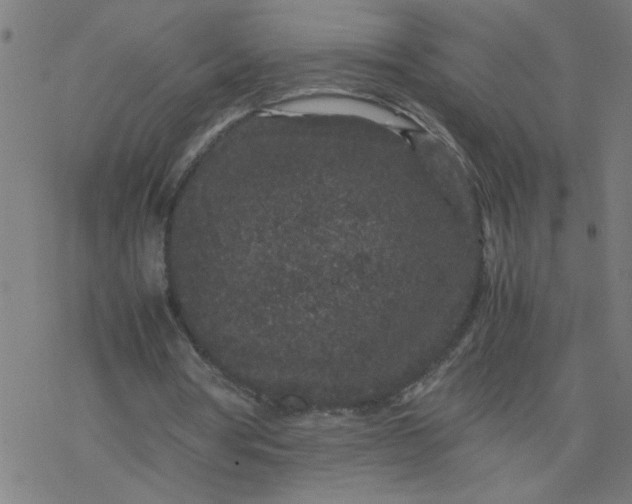 X0000077390386200611032007