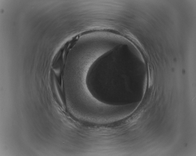 X0000077390387200611032007