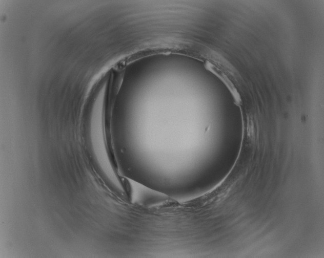 X0000077390388200611032007