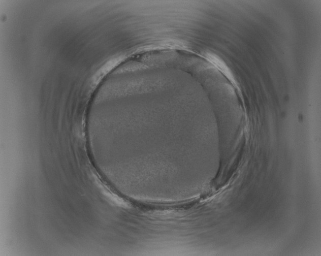 X0000077390389200611032007