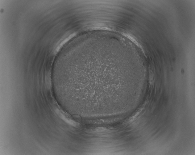 X0000077390390200611032007