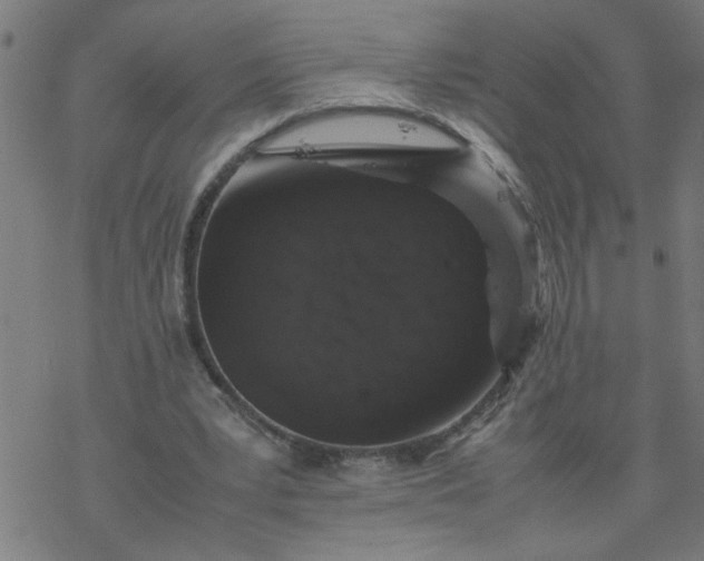 X0000077390391200611032007