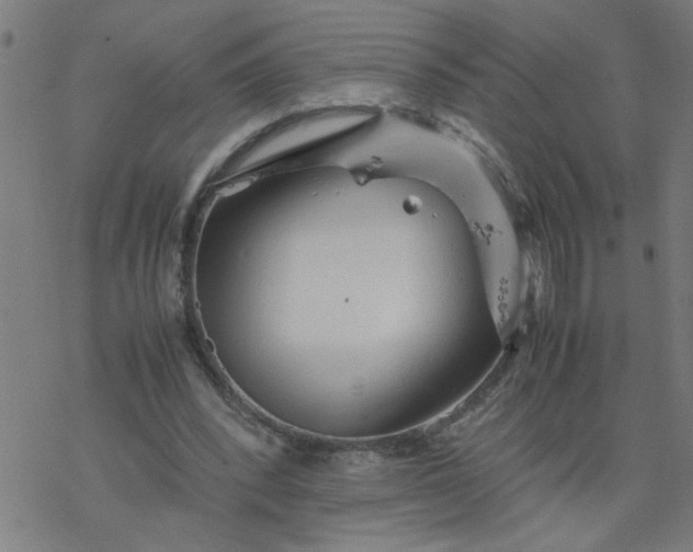 X0000077390392200611032007