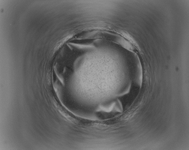 X0000077390393200611032007