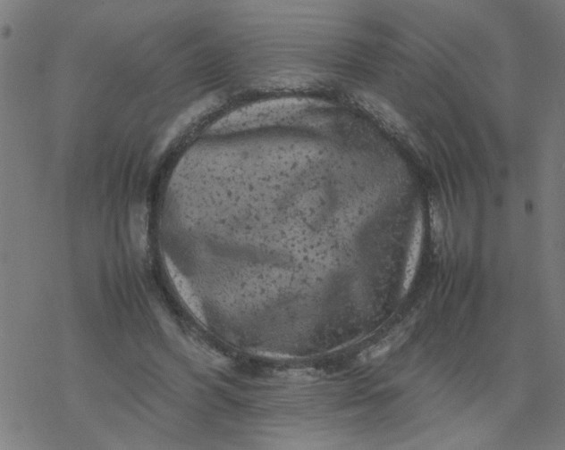 X0000077390396200611032007