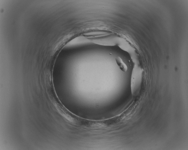 X0000077390397200611032007