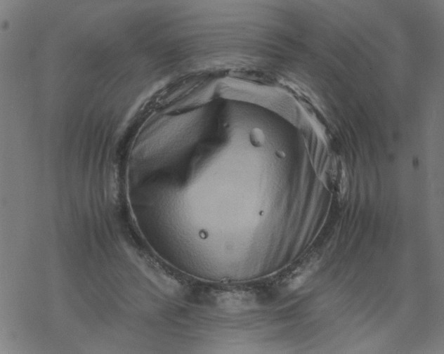 X0000077390400200611032007