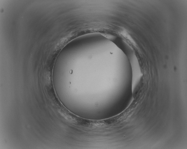 X0000077390401200611032007